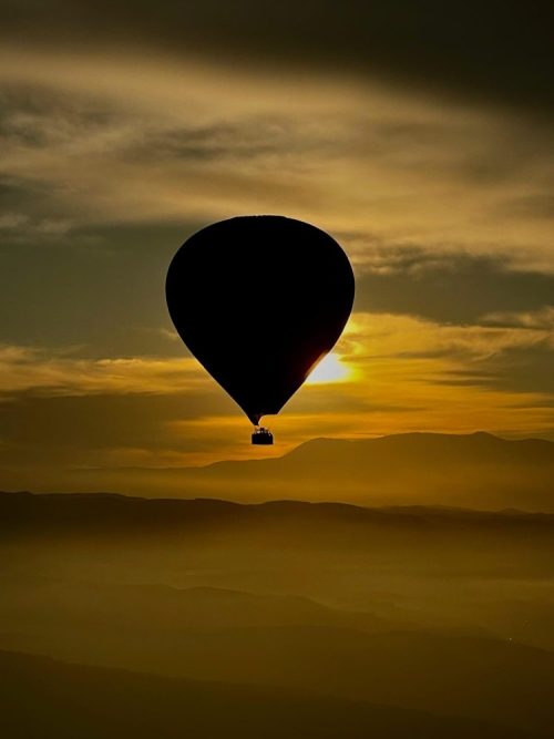 palma32 scaled e1730137616775