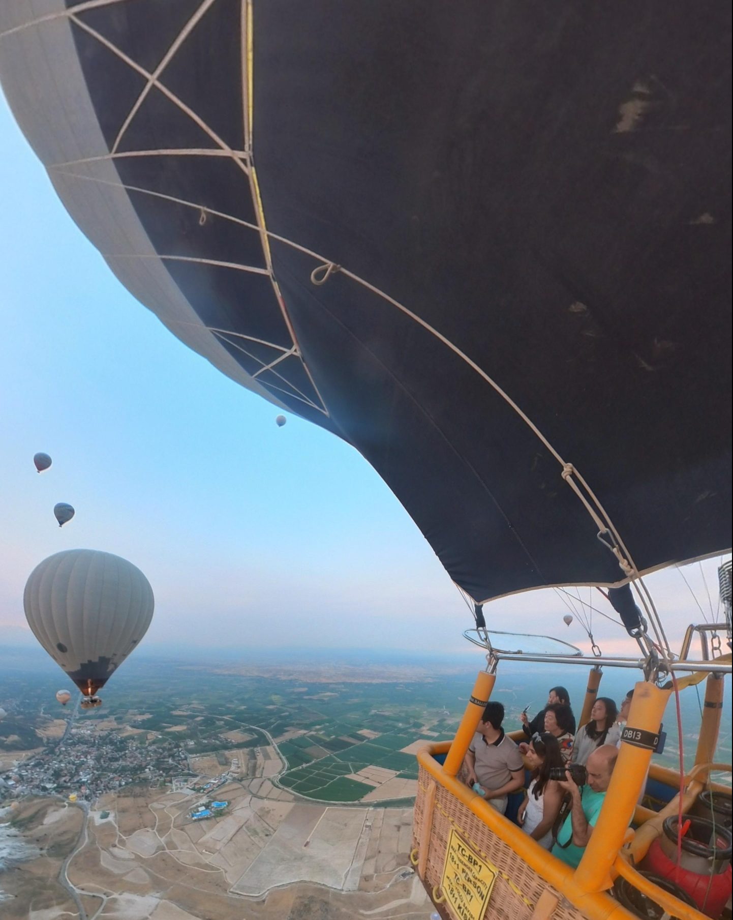 palma9 scaled e1730138157819